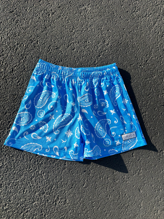 Paisley Shorts